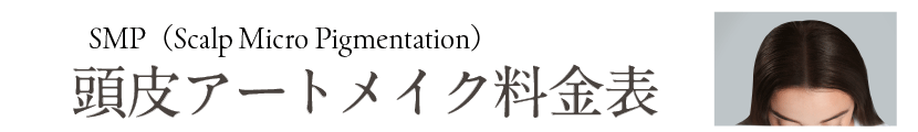 頭皮アートメイク料金表